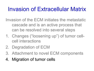 Invasion of Extracellular Matrix
Invasion of the ECM initiates the metastatic
cascade and is an active process that
can be resolved into several steps
1. Changes (“loosening up”) of tumor cell-
cell interactions
2. Degradation of ECM
3. Attachment to novel ECM components
4. Migration of tumor cells
 