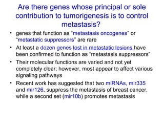 Are there genes whose principal or sole
contribution to tumorigenesis is to control
metastasis?
• genes that function as “metastasis oncogenes” or
“metastatic suppressors” are rare
• At least a dozen genes lost in metastatic lesions have
been confirmed to function as “metastasis suppressors”
• Their molecular functions are varied and not yet
completely clear; however, most appear to affect various
signaling pathways
• Recent work has suggested that two miRNAs, mir335
and mir126, suppress the metastasis of breast cancer,
while a second set (mir10b) promotes metastasis
 