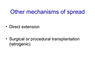 Other mechanisms of spread
• Direct extension
• Surgical or procedural transplantation
(iatrogenic)
 