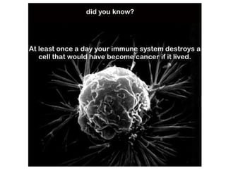 Invasion &amp; metastasis csbrp