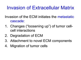 Invasion of Extracellular Matrix
Invasion of the ECM initiates the metastatic
cascade:
1. Changes (“loosening up”) of tumor cell-
cell interactions
2. Degradation of ECM
3. Attachment to novel ECM components
4. Migration of tumor cells
 