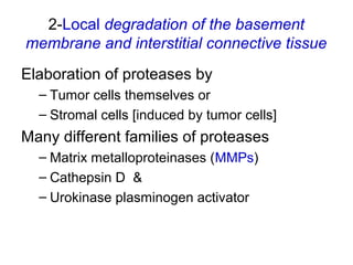 2-Local degradation of the basement
membrane and interstitial connective tissue
Elaboration of proteases by
– Tumor cells themselves or
– Stromal cells [induced by tumor cells]
Many different families of proteases
– Matrix metalloproteinases (MMPs)
– Cathepsin D &
– Urokinase plasminogen activator
 