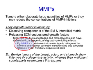 MMPs
Tumors either elaborate large quantities of MMPs or they
may reduce the concentrations of MMP-inhibitors
They regulate tumor invasion by:
• Dissolving components of the BM & interstitial matrix
• Releasing ECM-sequestered growth factors
– Cleavage products of collagen and proteoglycans also have
chemotactic, angiogenic, and growth-promoting effects
• Eg: MMP9 is a gelatinase that cleaves type IV collagen of the
epithelial and vascular basement membrane and also stimulates
release of VEGF from ECM-sequestered pools
Eg: Benign tumors of the breast, colon, and stomach show
little type IV collagenase activity, whereas their malignant
counterparts overexpress this enzyme
 