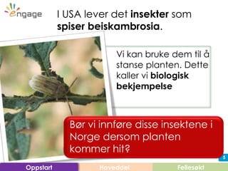 5
Vi kan bruke dem til å
stanse planten. Dette
kaller vi biologisk
bekjempelse
I USA lever det insekter som
spiser beiskambrosia.
Hoveddel FellesøktOppstart
Bør vi innføre disse insektene i
Norge dersom planten
kommer hit?
 