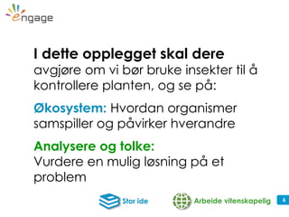6
I dette opplegget skal dere
avgjøre om vi bør bruke insekter til å
kontrollere planten, og se på:
Økosystem: Hvordan organismer
samspiller og påvirker hverandre
Analysere og tolke:
Vurdere en mulig løsning på et
problem
Arbeide vitenskapeligStor ide
 