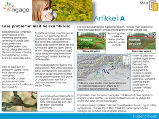 Student sheets
Prikkene viser steder med beiskambrosia.
Jo mørkere flekken er jo større % av
plantene ble angrepet av billene.
Artikkel A
SS1a
Beiskambrosia, Ambrosia
artemisiifolia, er en
fremmed plante som
sprer seg i Europa. Den
produserer store
mengder pollen som
kan gi allergi eller astma,
De som rammes må ofte
ta medisiner og være
borte fra skole eller jobb.
Løse problemet med beiskambrosia
Den er også blitt et
plagsomt ugress i åkre,
hvor den reduserer
avlingene.
Man anslår at disse
problemene koster
Europa rundt 4,5 milliarder
Euro hvert år!
En måte å stanse spredningen er
å kutte ned plantene slik at
blomstene fjernes og plantene
ikke setter frø. Men plantene
vokser opp fra roten slik at de må
kuttes ned igjen og igjen. Dette
er dyrt i lengden. Man kan også
bruke sprøytemidler, men disse
dreper også andre planter og
nyttevekster.
I Kina er beiskambrosia også et problem. Her har man sluppet ut
store mengder biller i områder hvor planten har spredd seg.
Et problem med å innføre mengder av biller er at disse også kan
angripe andre planter - for eksempel planter som er viktige for
andre dyr, eller for oss mennesker!
For eksempel er solsikke i nær slekt med beiskambrosia, og en viktig
nytteplante i mange land. Men forsøk i Europa og Kina tyder
heldigvis på at billen ikke angriper solsikke.
Løsningen på problemet kan
ligge hos insekter som spiser
beiskambrosia, slik som den
lille billen Ophraella
communa.
Noen få biller har
forvillet seg til Sveits
og Nord-Italia.
Dermed har
forskerne fått
mulighet til å
studere hvordan
billene påvirker
plantene. Dataene
kommer fra en
studie som er
publisert i Weed
Research.
Menneskelig aktivitet bidrar til å
spre planten. Når vi transporterer
frø av nytteplanter, slår planter
som gror langs veikantene, eller
bruker gravemaskiner til å grave
ut byggeplasser, kan frø av
beiskambrosiaen finne nye
steder å spire.
Planten
Billene blir satt ut
Planten
utryddet
Noen uker senere
Forskning viser
at billene
holder planten
effektivt under
kontroll.
 