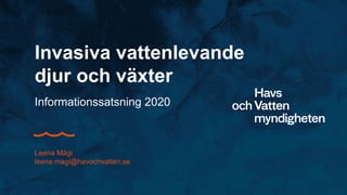 Invasiva vattenlevande
djur och växter
Informationssatsning 2020
Leena Mägi
leena.magi@havochvatten.se
 