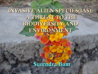 INVASIVE ALIEN SPECIES(IAS):
     A THREAT TO THE
    BIODIVERSITY AND
      ENVIRONMENT



             BY
        Surendra Bam
 