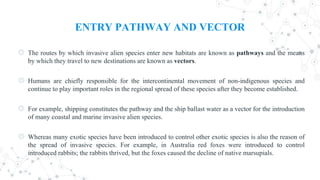 ENTRY PATHWAY AND VECTOR
◎ The routes by which invasive alien species enter new habitats are known as pathways and the means
by which they travel to new destinations are known as vectors.
◎ Humans are chiefly responsible for the intercontinental movement of non-indigenous species and
continue to play important roles in the regional spread of these species after they become established.
◎ For example, shipping constitutes the pathway and the ship ballast water as a vector for the introduction
of many coastal and marine invasive alien species.
◎ Whereas many exotic species have been introduced to control other exotic species is also the reason of
the spread of invasive species. For example, in Australia red foxes were introduced to control
introduced rabbits; the rabbits thrived, but the foxes caused the decline of native marsupials.
 