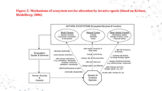 Figure 2- Mechanisms of ecosystem service alteration by invasive specie (based on Kröner,
Heidelberg; 2006)
 