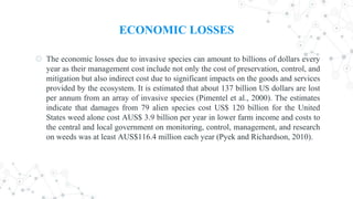 ECONOMIC LOSSES
◎ The economic losses due to invasive species can amount to billions of dollars every
year as their management cost include not only the cost of preservation, control, and
mitigation but also indirect cost due to significant impacts on the goods and services
provided by the ecosystem. It is estimated that about 137 billion US dollars are lost
per annum from an array of invasive species (Pimentel et al., 2000). The estimates
indicate that damages from 79 alien species cost US$ 120 billion for the United
States weed alone cost AUS$ 3.9 billion per year in lower farm income and costs to
the central and local government on monitoring, control, management, and research
on weeds was at least AUS$116.4 million each year (Pyek and Richardson, 2010).
 