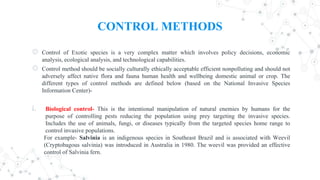 CONTROL METHODS
◎ Control of Exotic species is a very complex matter which involves policy decisions, economic
analysis, ecological analysis, and technological capabilities.
◎ Control method should be socially culturally ethically acceptable efficient nonpolluting and should not
adversely affect native flora and fauna human health and wellbeing domestic animal or crop. The
different types of control methods are defined below (based on the National Invasive Species
Information Center)-
i. Biological control- This is the intentional manipulation of natural enemies by humans for the
purpose of controlling pests reducing the population using prey targeting the invasive species.
Includes the use of animals, fungi, or diseases typically from the targeted species home range to
control invasive populations.
For example- Salvinia is an indigenous species in Southeast Brazil and is associated with Weevil
(Cryptobagous salvinia) was introduced in Australia in 1980. The weevil was provided an effective
control of Salvinia fern.
 