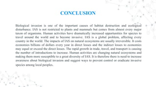 CONCLUSION
Biological invasion is one of the important causes of habitat destruction and ecological
disturbance. IAS is not restricted to plants and mammals but comes from almost every major
taxon of organisms. Human activities have dramatically increased opportunities for species to
travel around the world and to become invasive. IAS is a global problem, affecting every
country in the world. The impacts of IAS on natural ecosystems are usually irreversible. It costs
economies billions of dollars every year in direct losses and the indirect losses to economies
may equal or exceed the direct losses. The rapid growth in trade, travel, and transport is causing
the number of introductions to increase. Human activities are changing natural ecosystems and
making them more susceptible to a great diversity of IAS. It is therefore there is need to increase
awareness about biological invasion and suggest ways to prevent control or eradicate invasive
species among local peoples.
 