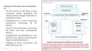 The process of Invasion can be summarized
as:
i. For the invasion to take place, a taxon
overcomes various geographic and
climate barriers through intentional or
accidental transport.
ii. Establishment as a result of successful
reproduction overcoming all the
barriers.
iii. Survival and persistence overcoming
the biotic and local environmental
barriers.
iv.Expanding the size population so as to
spread to new regions overcoming the
dispersal and habitat barriers.
v. Adapting to biotic environment and
biota in the new area.
INVASIO0N PROCESS
INVASIVE SPECIES
GERMINATION
ESTABLISHMENT AND GERMINATION
RAMET
RAMET
GENET
GENET
Increase in population size and naturalization
Dispersal to other habitats for founding secondary population
FIGURE-1: Recruitment model for invasive plant species. The invasive species
has to overcome geographical, environmental, and reproductive barriers, face
competition from indigenous species, and then proceed to colonize new locations
(based on Sharma et al., 2005).
SEXUALLY
ASEXUALLY
SEED
SEED BANK PROPAGULE
BANK
PROPAGULE
 