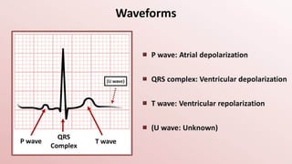 Comprehensive Overview of Invasive and Non-Invasive Cardiac Procedures ...