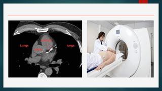 Comprehensive Overview of Invasive and Non-Invasive Cardiac Procedures ...