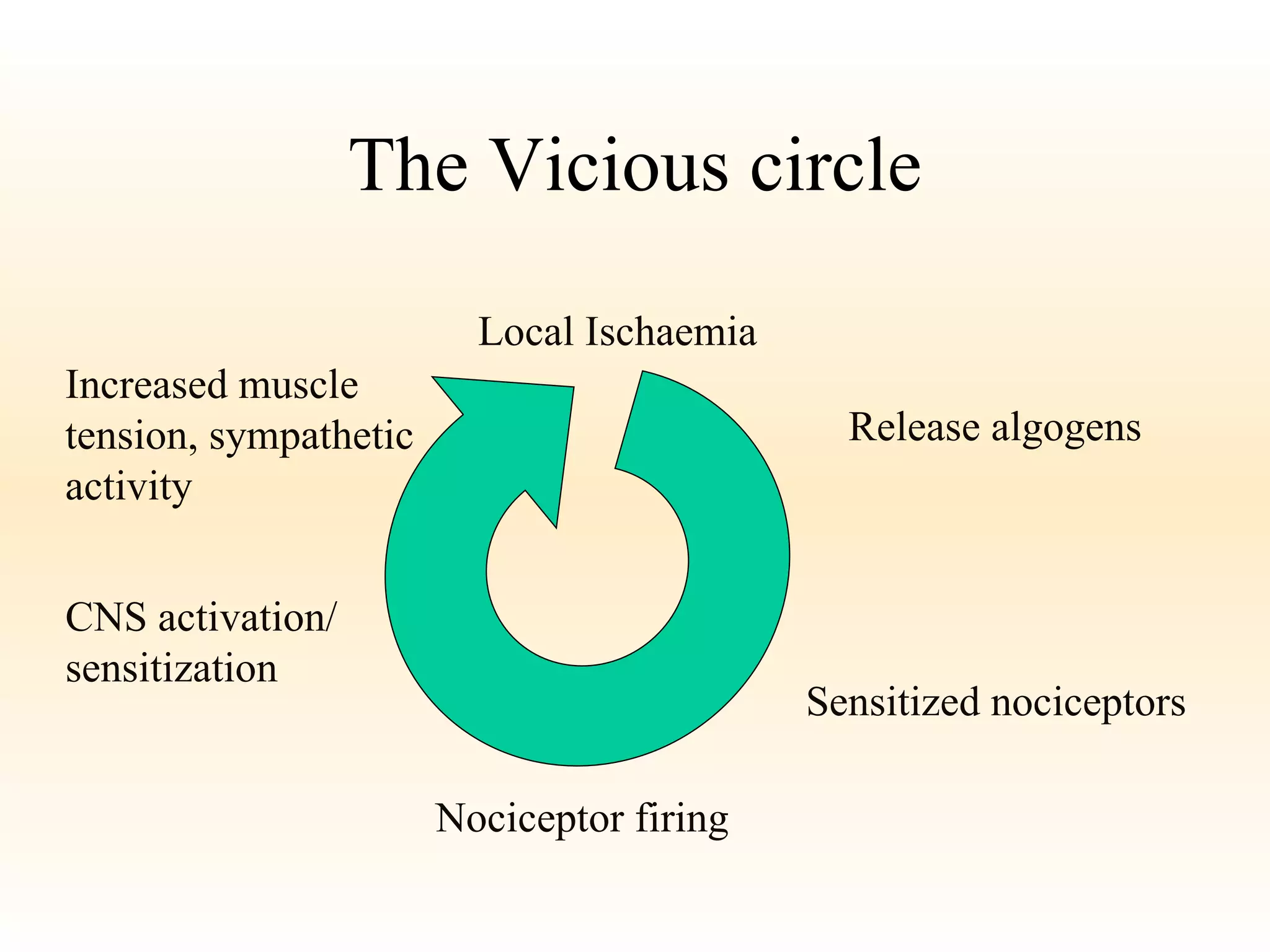 The Vicious circle Local Ischaemia Release algogens Sensitized nociceptors Nociceptor firing CNS activation/ sensitization Increased muscle  tension, sympathetic  activity 