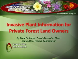 Invasive Plant Information for
 Private Forest Land Owners
    by Ernie Sellentin, Coastal Invasive Plant
        Committee, Project Coordinator
 
