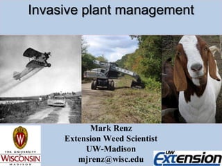 Invasive plant management Mark Renz Extension Weed Scientist UW-Madison mjrenz@wisc.edu 