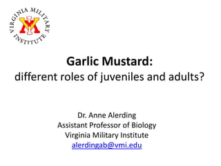 Garlic Mustard:
different roles of juveniles and adults?


               Dr. Anne Alerding
         Assistant Professor of Biology
           Virginia Military Institute
             alerdingab@vmi.edu
 