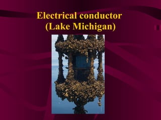 Electrical conductor  (Lake Michigan) 