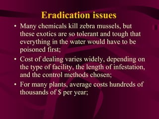 Eradication issues Many chemicals kill zebra mussels, but these exotics are so tolerant and tough that everything in the water would have to be poisoned first; Cost of dealing varies widely, depending on the type of facility, the length of infestation, and the control methods chosen; For many plants, average costs hundreds of thousands of $ per year; 