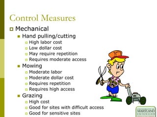 Control Measures
 Mechanical
 Hand pulling/cutting
 High labor cost
 Low dollar cost
 May require repetition
 Requires moderate access
 Mowing
 Moderate labor
 Moderate dollar cost
 Requires repetition
 Requires high access
 Grazing
 High cost
 Good for sites with difficult access
 Good for sensitive sites
 