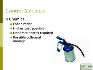 Control Measures
 Chemical
 Labor varies
 Higher cost possible
 Moderate access required
 Possible collateral
damage
 