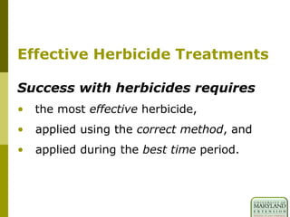 Effective Herbicide Treatments
Success with herbicides requires
• the most effective herbicide,
• applied using the correct method, and
• applied during the best time period.
 
