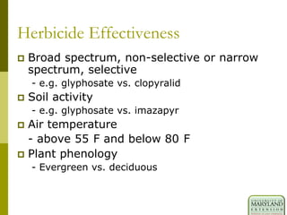 Herbicide Effectiveness
 Broad spectrum, non-selective or narrow
spectrum, selective
- e.g. glyphosate vs. clopyralid
 Soil activity
- e.g. glyphosate vs. imazapyr
 Air temperature
- above 55 F and below 80 F
 Plant phenology
- Evergreen vs. deciduous
 