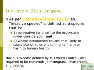 Invasive v. Non-Invasive
 As per Executive Order 13112 an
"invasive species" is defined as a species
that is:
 1) non-native (or alien) to the ecosystem
under consideration and
 2) whose introduction causes or is likely to
cause economic or environmental harm or
harm to human health.
Noxious Weeds: defined by MD Weed Control Law;
required to be removed: johnsongrass, shattercane,
and thistles
 