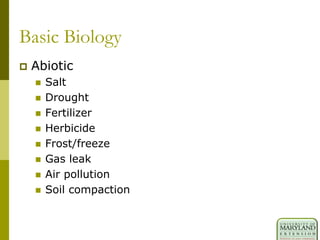 Basic Biology
 Abiotic
 Salt
 Drought
 Fertilizer
 Herbicide
 Frost/freeze
 Gas leak
 Air pollution
 Soil compaction
 