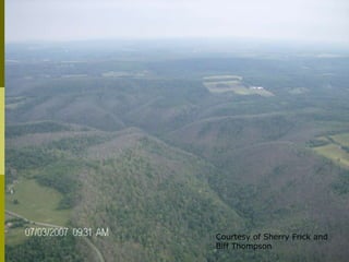 Courtesy of Sherry Frick and
Biff Thompson
 