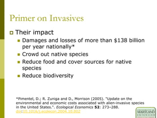 Primer on Invasives
 Their impact
 Damages and losses of more than $138 billion
per year nationally*
 Crowd out native species
 Reduce food and cover sources for native
species
 Reduce biodiversity
*Pimentel, D.; R. Zuniga and D., Morrison (2005). "Update on the
environmental and economic costs associated with alien-invasive species
in the United States.". Ecological Economics 52: 273–288.
doi:10.1016/j.ecolecon.2004.10.002
 