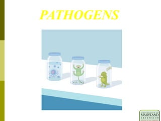 PATHOGENS
 
