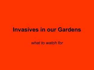 Invasives in our Gardens
what to watch for
 