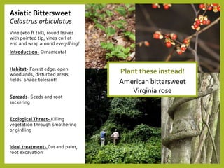 Invasives Management-Big Picture-MCD.pptx