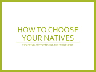HOWTO CHOOSE
YOUR NATIVES
For a no fuss, low maintenance, high impact garden
 