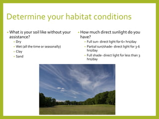 Determine your habitat conditions
• What is your soil like without your
assistance?
• Dry
• Wet (all the time or seasonally)
• Clay
• Sand
• How much direct sunlight do you
have?
• Full sun- direct light for 6+ hrs/day
• Partial sun/shade- direct light for 3-6
hrs/day
• Full shade- direct light for less than 3
hrs/day
 