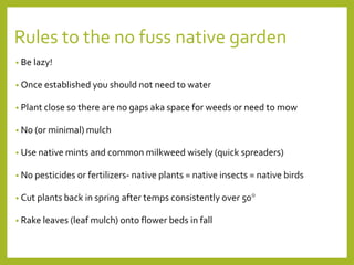 Rules to the no fuss native garden
• Be lazy!
• Once established you should not need to water
• Plant close so there are no gaps aka space for weeds or need to mow
• No (or minimal) mulch
• Use native mints and common milkweed wisely (quick spreaders)
• No pesticides or fertilizers- native plants = native insects = native birds
• Cut plants back in spring after temps consistently over 50°
• Rake leaves (leaf mulch) onto flower beds in fall
 