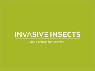 INVASIVE INSECTS
(and a couple non-insects)
 