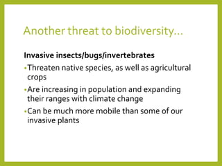 Another threat to biodiversity…
Invasive insects/bugs/invertebrates
•Threaten native species, as well as agricultural
crops
•Are increasing in population and expanding
their ranges with climate change
•Can be much more mobile than some of our
invasive plants
 