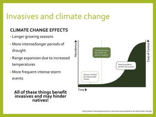 Invasives and climate change
CLIMATE CHANGE EFFECTS
• Longer growing seasons
• More intense/longer periods of
drought
• Range expansion due to increased
temperatures
• More frequent intense storm
events
All of these things benefit
invasives and may hinder
natives!
https://www.invasivespeciescentre.ca/invasive-species/what-is-at-risk/climate-change/
 