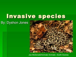 Invasive species By: Dyshon Jones Joe McDonald/Animals Animals—Earth Scenes 