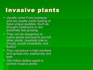 Invasive plants Usually come From overseas and are usually exotic looking or have unique qualities. Such as Drought intolerance or are extremely fast growing. They can be dangerous to native plants and search and kill other plants. (example mile-a-minute, purple loosestrife, and kudzu) They reproduce in high numbers and spread very extensively and well. 100 million dollars spent to control invasive plants. 