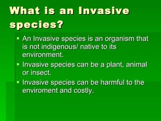 What is an Invasive species? An Invasive species is an organism that is not indigenous/ native to its environment. Invasive species can be a plant, animal or insect. Invasive species can be harmful to the enviroment and costly. 