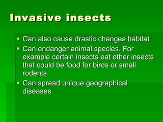 Invasive insects Can also cause drastic changes habitat Can endanger animal species. For example certain insects eat other insects that could be food for birds or small rodents Can spread unique geographical diseases 