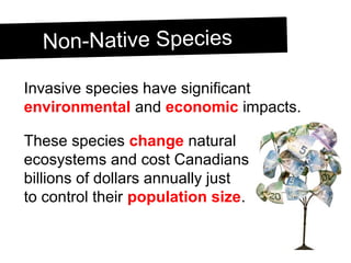 Non-Native SpeciesNon-Native Species
Invasive species have significant
environmental and economic impacts.
These species change natural
ecosystems and cost Canadians
billions of dollars annually just
to control their population size.
 
