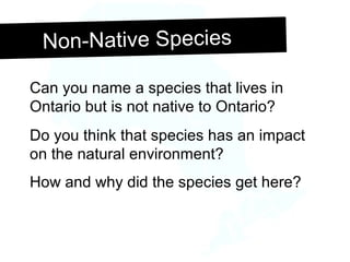 Non-Native SpeciesNon-Native Species
Can you name a species that lives in
Ontario but is not native to Ontario?
Do you think that species has an impact
on the natural environment?
How and why did the species get here?
 