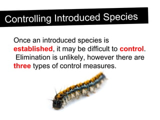 Controlling Introduced SpeciesControlling Introduced Species
Once an introduced species is
established, it may be difficult to control.
Elimination is unlikely, however there are
three types of control measures.
 